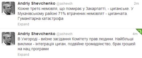 Ужгороде выездное заседание Комитета Рады Ужгороде выездное заседание Комитета Рады