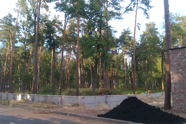 Паркан під лісом для садиби сина Януковича?