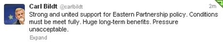 Министр иностранных дел Швеции Карл Бильдт о выполнении критериев ассоциации с ЕС