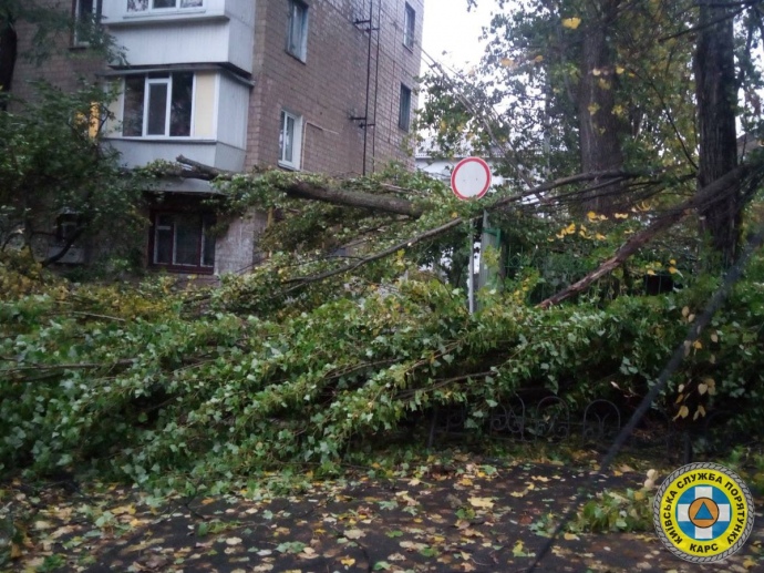 последствия непогоды в Киеве, фото: Киевская служба спасения