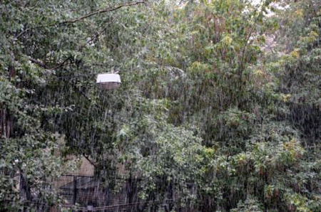 У центрі Києва пройшов невеликий сніг / Фото: Ірина Виртосу