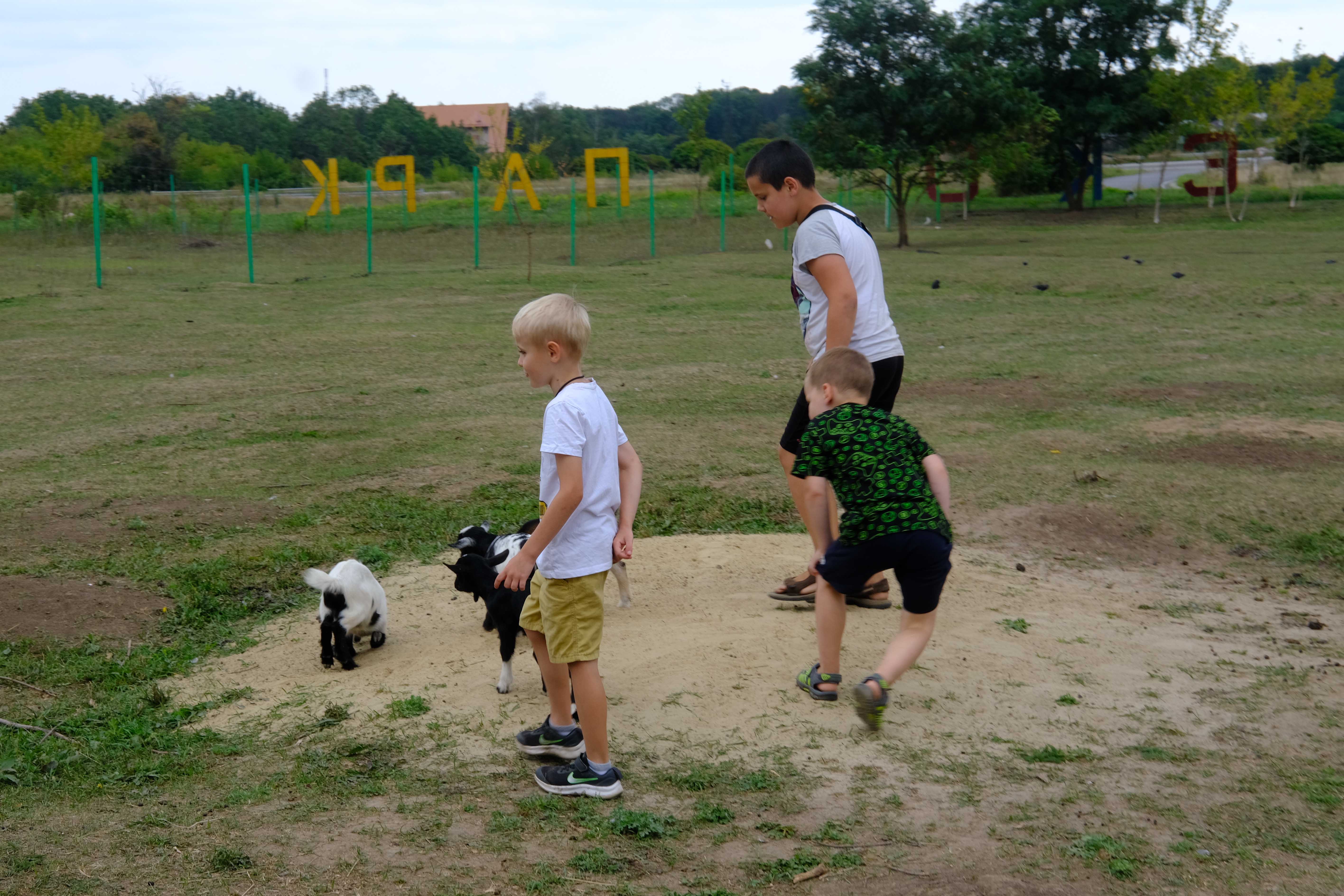 Екопарк завжди полюбляли дітлахи через можливість побавитися із тваринами