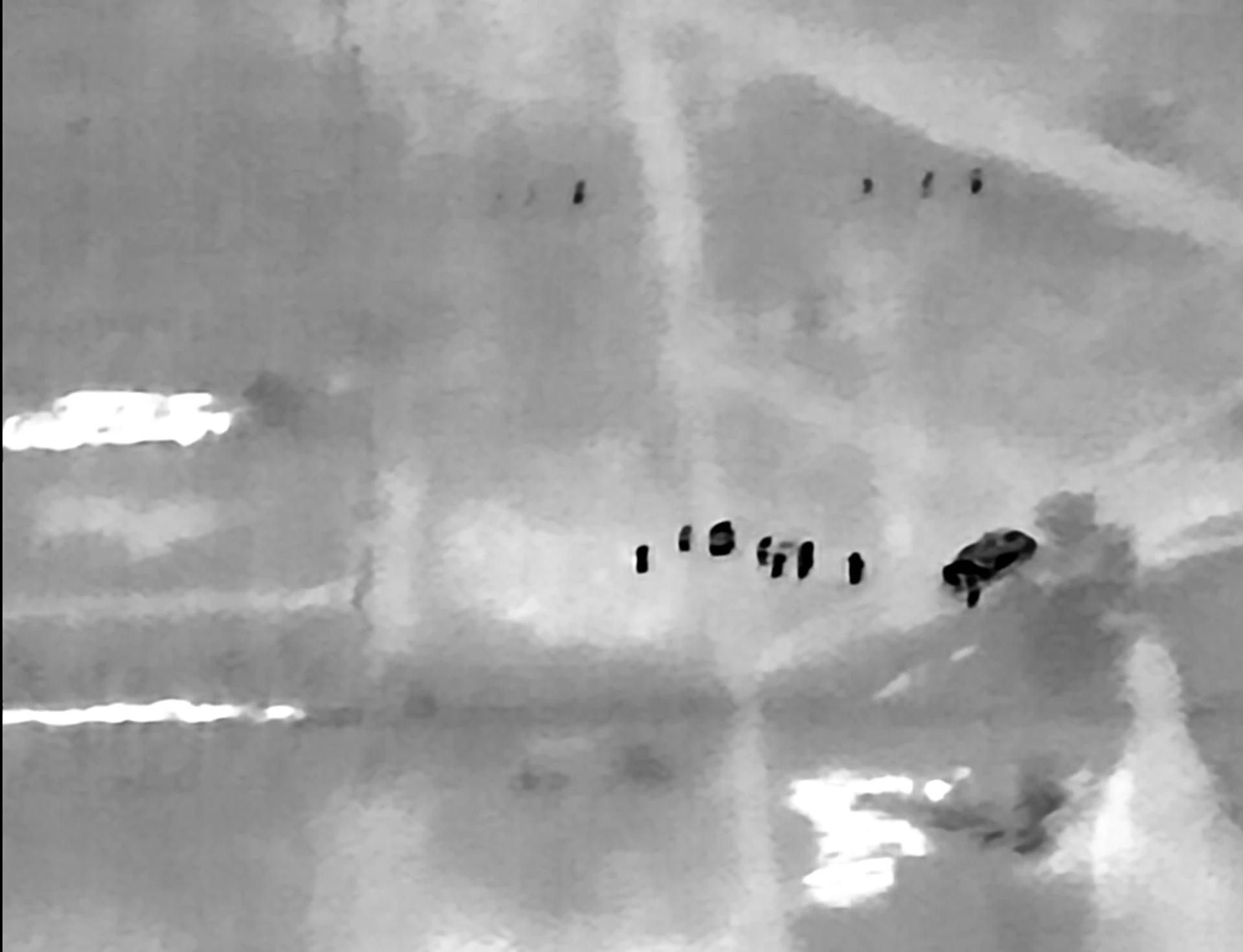 View of thermal ponchos from a Mavic 3T drone in the black-hot thermal mode. The contrast with the group of soldiers in standard gear in the foreground is clearly visible.