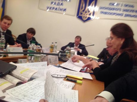 Партия регионов во главе с Инной Богословской Партия регионов во главе с Инной Богословской