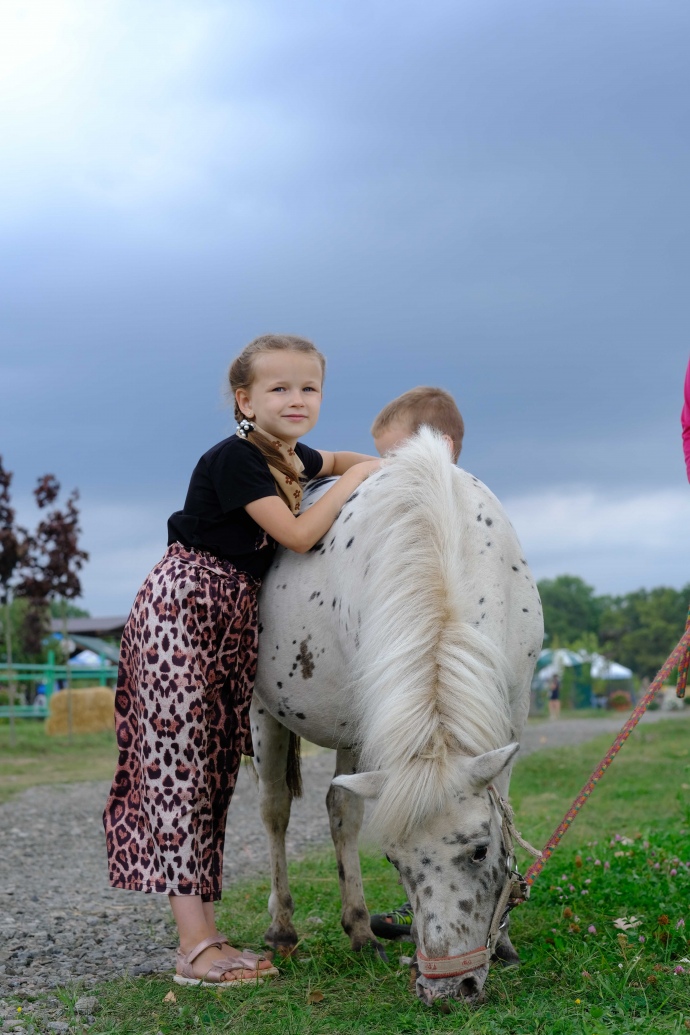 Поні Ситха має очі різних кольорів