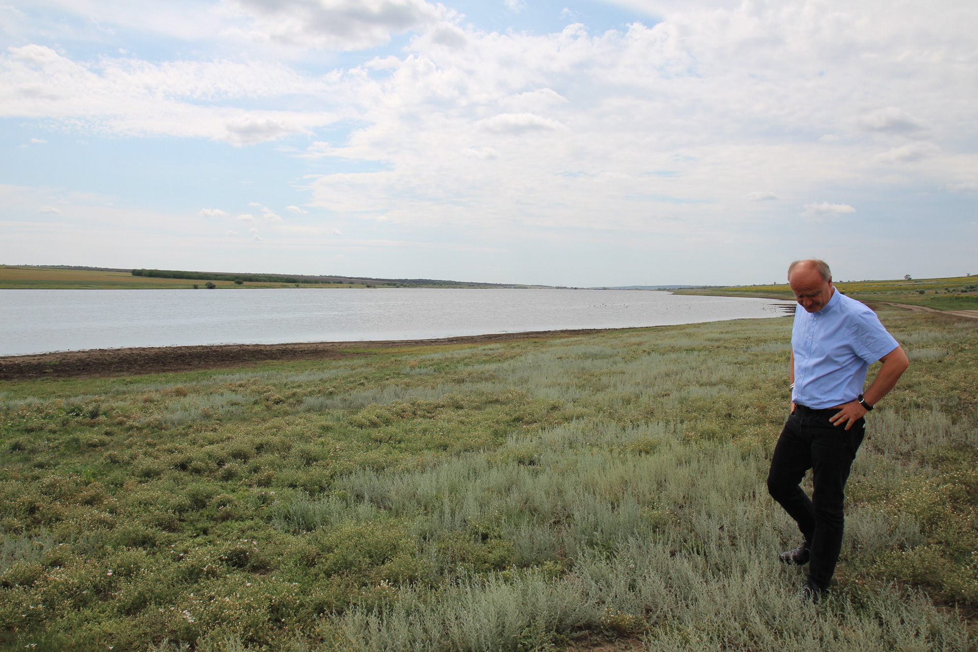 На пути во Фрумушику растут краснокнижные травы.