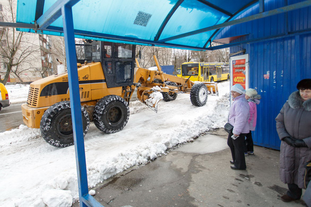 Київ, прибиральники, Лісовий масив