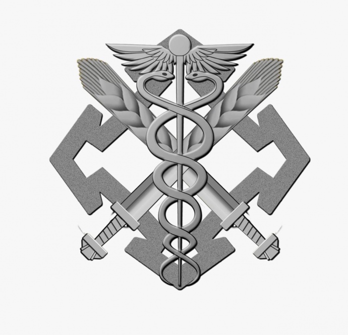 Новий беретний знак Сил логістики