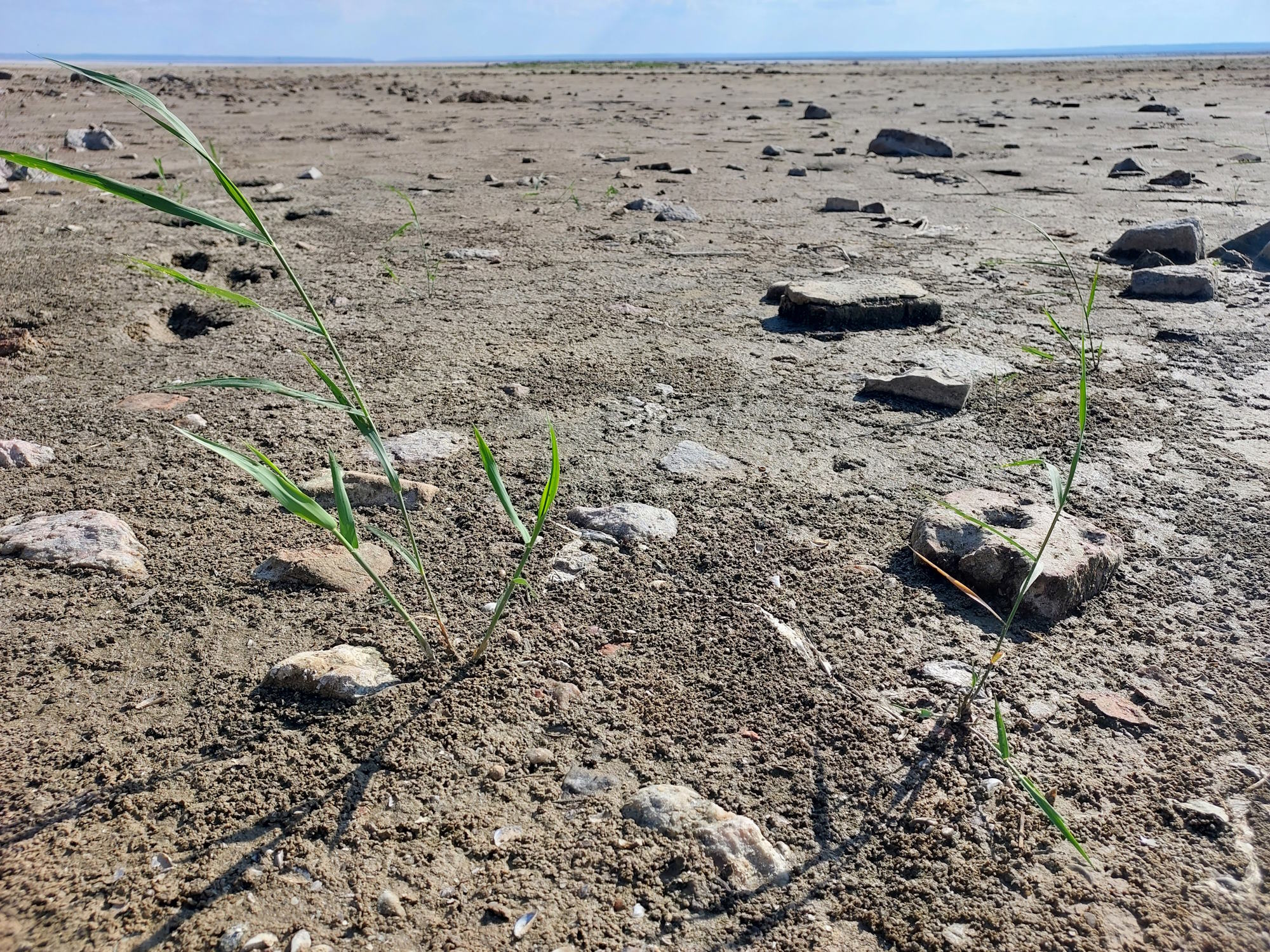 Так виглядає через два місяці після підриву дамби Каховської ГЕС 