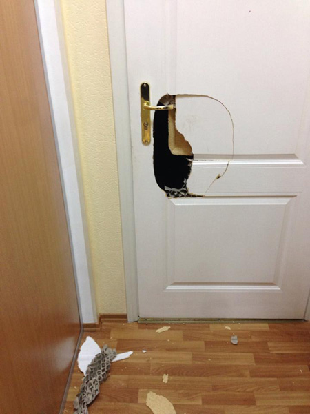 Фото Владимира Арьева Фото Владимира Арьева