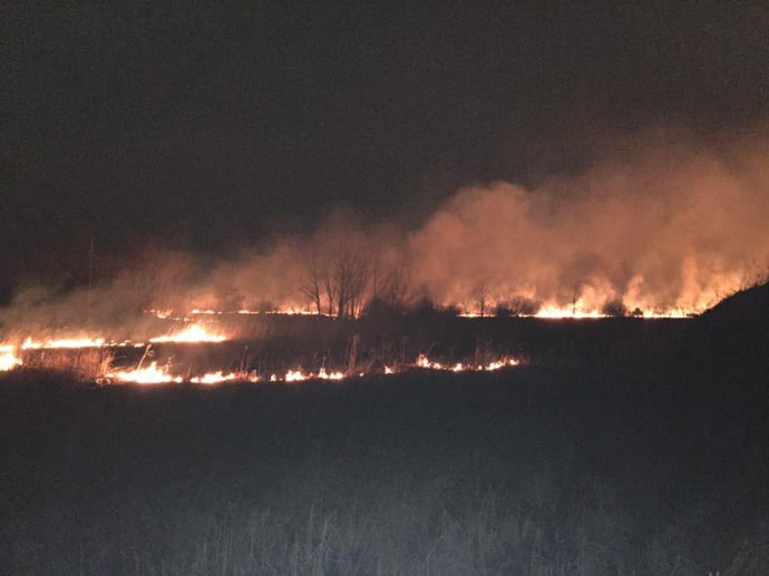 Фото: Александр Гончар