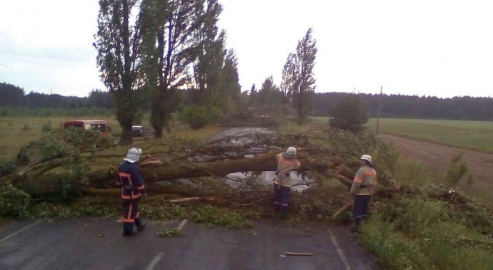 Непогода наломала дров