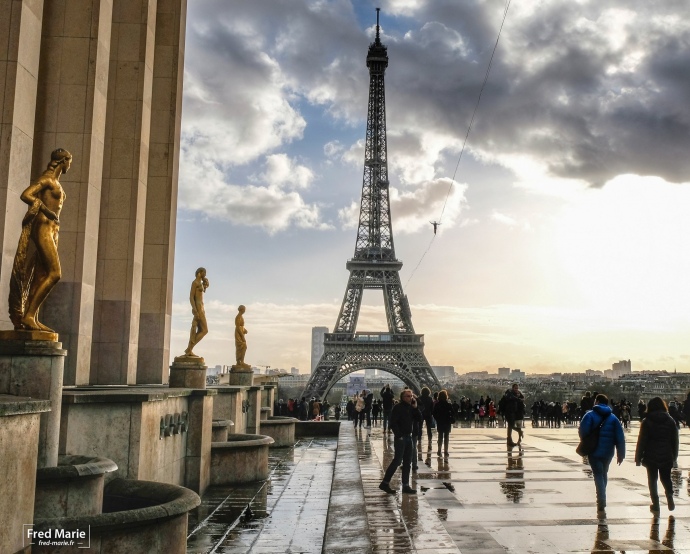 Фото зі сторінки Натана Поліна у Twitter