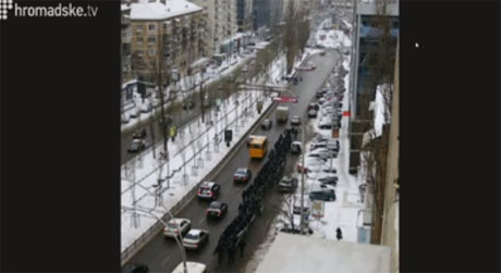 Тигр идет пешком по бульвару Леси Украинки Тигр идет пешком по бульвару Леси Украинки