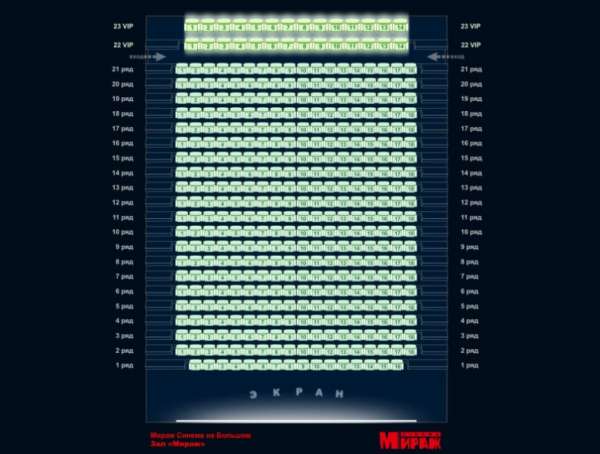 Зал одного из кинотеатров в центральном районе Петербурга через пять минут после начала сеанса