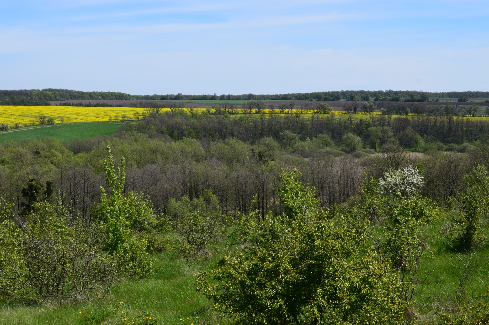 Національний парк 