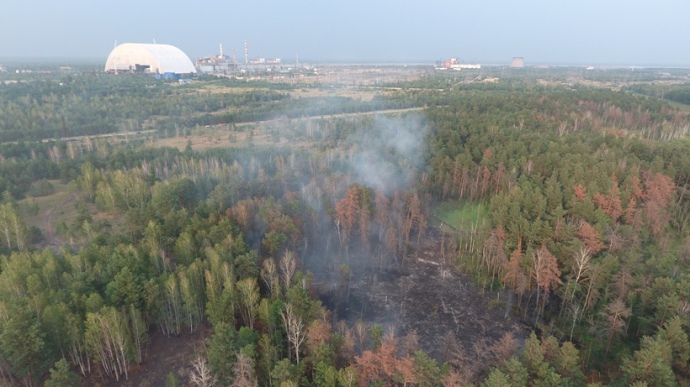 Тління лісової підстилки у зоні відчуження  станом на 29 липня.