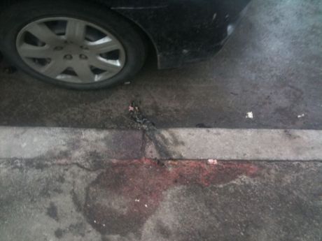 Підпалили авто активістки Євромайдану