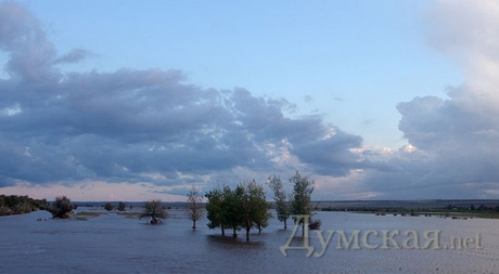 Фото - Думская.net