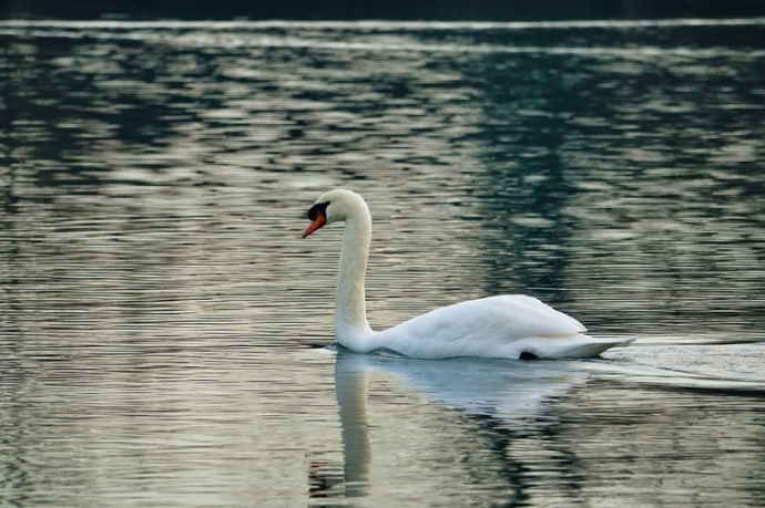 Photo: underworld1/Depositphotos