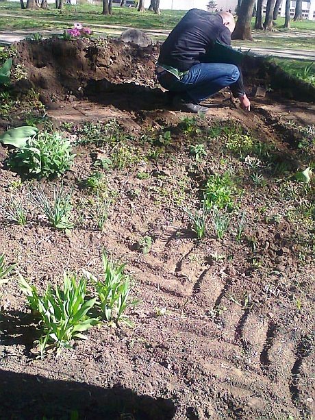 Пам`ятник УПА знесли технікою. Фото партії Свобода Пам`ятник УПА знесли технікою. Фото партії Свобода