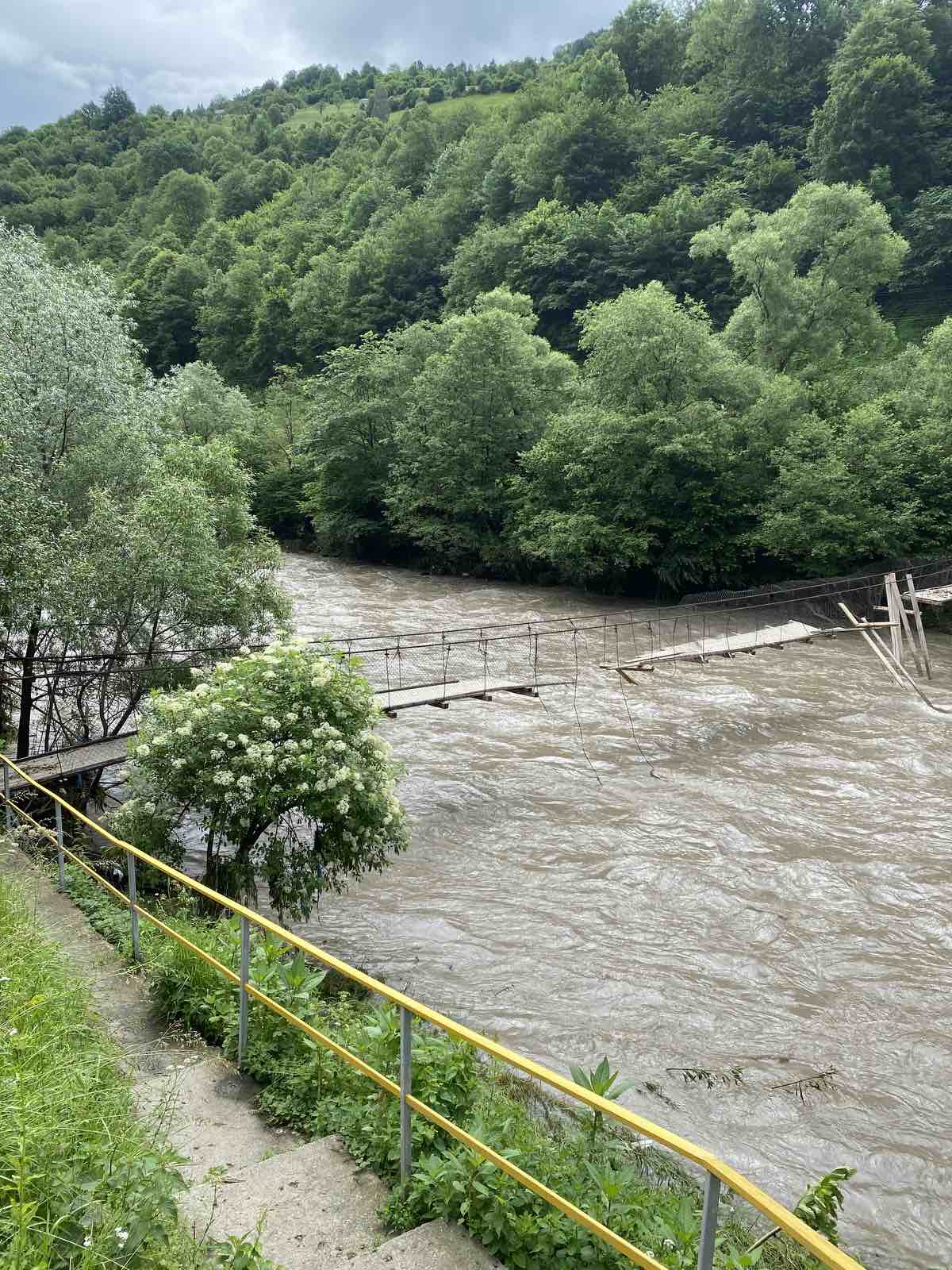 Закарпаття, червень 2020