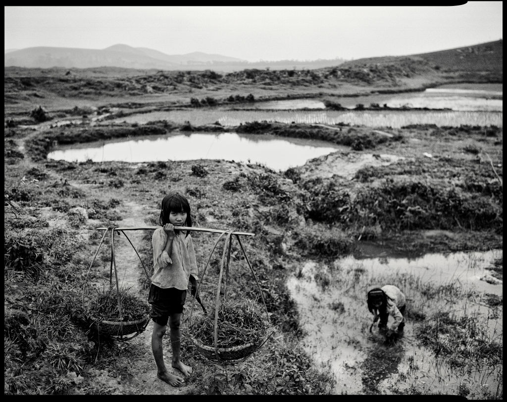 Після В'єтнамської війни на полях країни залишилося безліч кратерів від американських бомб.