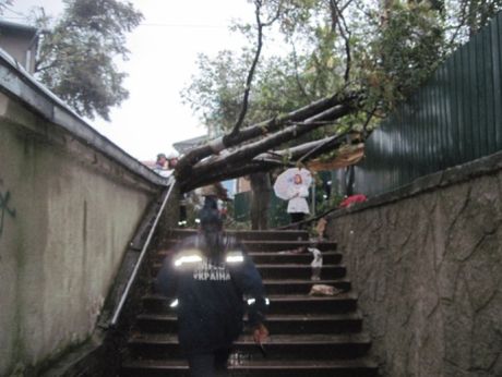 Львовщиной прошелся ураган Львовщиной прошелся ураган
